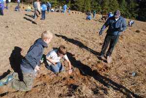 Scouts help plant seeds this morning.