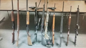 Guns seized in one of the raids.