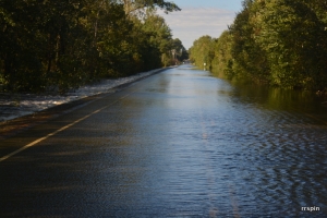 A flooded road in the south end of the county.