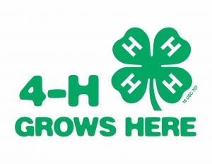 Two county 4-Hers headed to national events